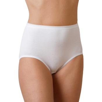 Trofe Seamless Maxi Briefs