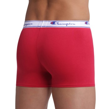 Champion Everyday Boxer Y081W
