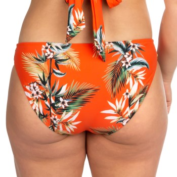 Seafolly Ocean Alley Bikini Hipster