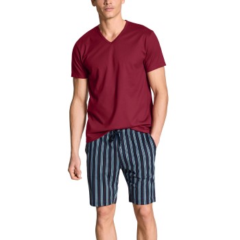 Calida Casual Cotton Short Pyjama