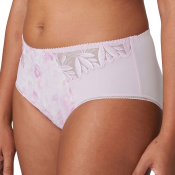 PrimaDonna Orlando Full Brief