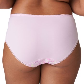 PrimaDonna Orlando Full Brief