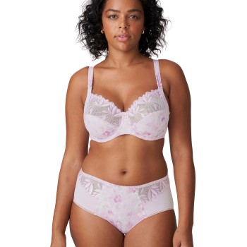 PrimaDonna Orlando Full Brief