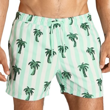 Bilde av Björn Borg Badebukser Sylvester Swim Shorts Lysegrønn Polyester Small Herre