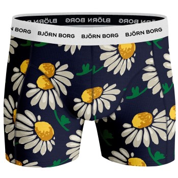 Björn Borg Essential Shorts 2033