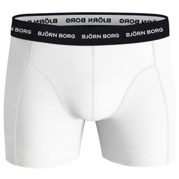 Björn Borg Essential Shorts 2033