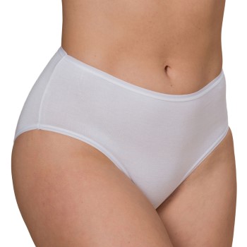 Trofe Bamboo Solids Hipster