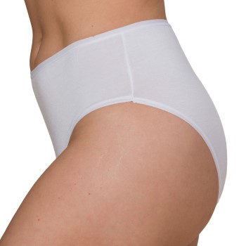 Trofe Bamboo Solids Hipster