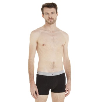 Tommy Hilfiger WB Trunks