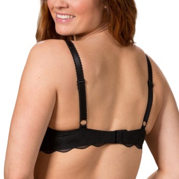 Trofe Julia Lace Padded Bra