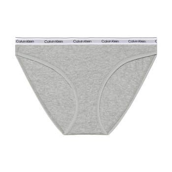 Calvin Klein Modern Logo Bikini Brief