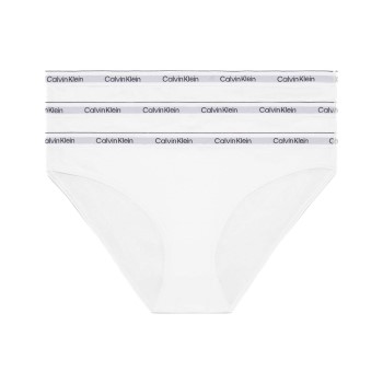 Calvin Klein Low Rise Bikini Briefs