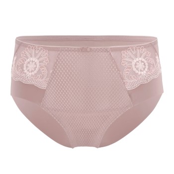 Felina Conturelle Festival Brief