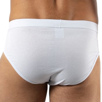 FILA Basic Brief