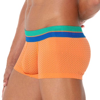 Code 22 Bright Mesh Trunk