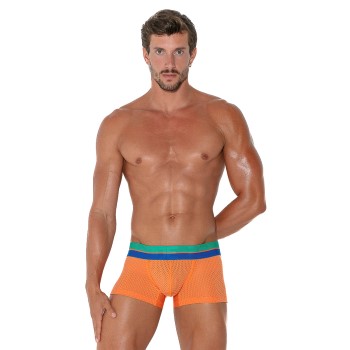 Code 22 Bright Mesh Trunk