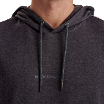 JBS of Denmark Hoodie With Logo