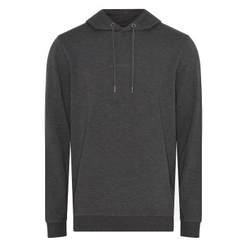 JBS of Denmark Hoodie With Logo