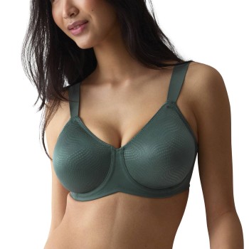 Triumph Essential Minimizer T W X 