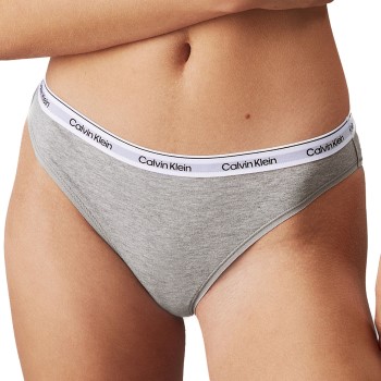 Calvin Klein Modern Logo Bikini Briefs