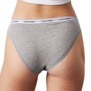 Calvin Klein Modern Logo Bikini Briefs