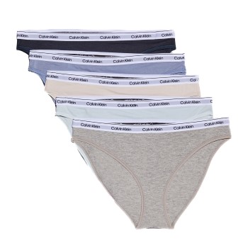 Calvin Klein Modern Logo Bikini Briefs