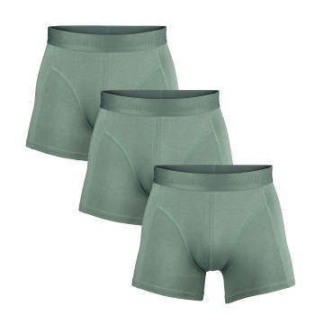 Salming 3P Bamboo Boxer Grønn X-Large Herre