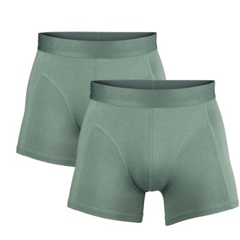 Salming Kalsonger 2P Boxer Briefs Grön Medium Herr