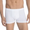 Calida Pure and Style Boxer Brief 26786
