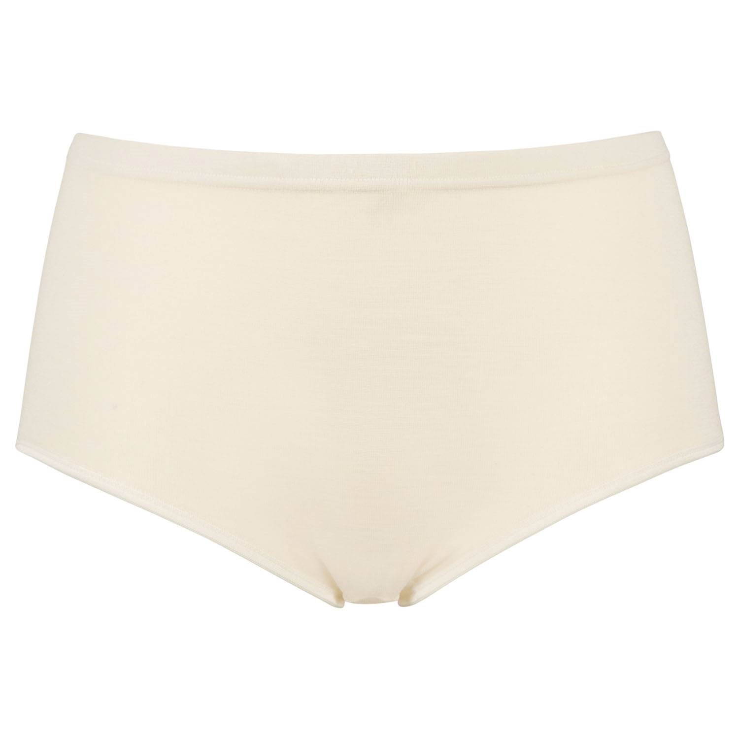 Damella High Waist Maxi Brief