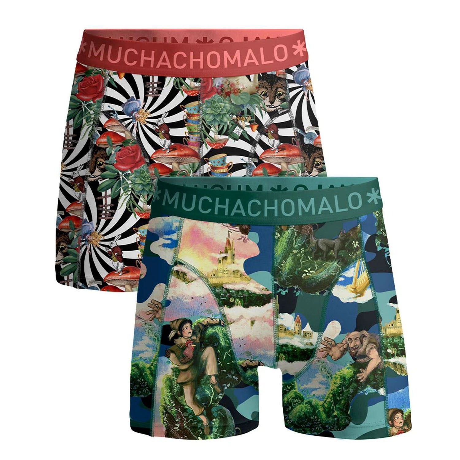 Muchachomalo Jack Bean Alice Wonder Boxer