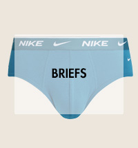 Nike Brief